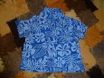 fotka prdácká barevná modrá košile