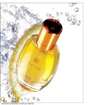 fotka Dámský parfém FM 23 inspirovaný Amor Amor - Cacharel