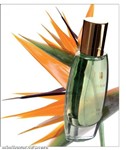 fotka Dámský parfém  FM 180 inspirovaný Diamonds - Giorgio Armani